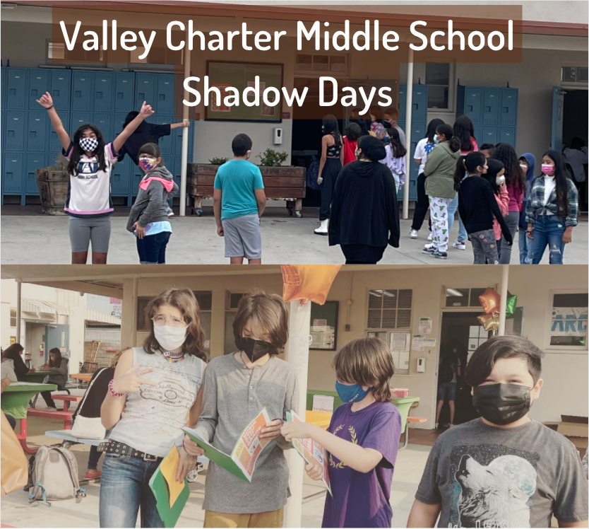 vcms shadow days